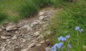 Trail Walking Megève - Croisse Baulet - Photo 8