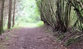 Tour Wandern Stoumont - Rahier (La promenade du Rofthier) - Photo 1