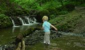 Trail On foot Dinant - WandArdRiv 18: Falmignoul: ruisseau de ranle en de Maas - Photo 3