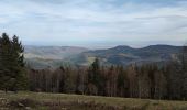 Tour Mountainbike Urbach bei Kaysersberg - Fréland - cimetière Duchesne - Photo 4