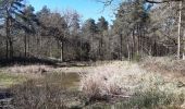 Tocht Stappen Savigny-le-Temple - savigny le temple  - Photo 11