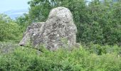 Tour Wandern Olloix - de Olloix à Champeix - Photo 4