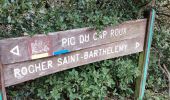 Trail On foot Saint-Raphaël - Tour du pic du Cap Roux et Ste Baume ( grotte Chapelle ) - Photo 2