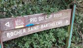 Tour Zu Fuß Saint-Raphaël - Tour du pic du Cap Roux et Ste Baume ( grotte Chapelle ) - Photo 2