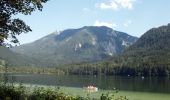 Tocht Te voet Lunz am See - Lunz am See - Maierhöfen und weiter - Photo 5