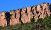 Tour Wandern Bagnols-en-Forêt - Parking sur D47 - La Forteresse - Col de la Pierre à Coucou - Gorges du Blavet  - Photo 13