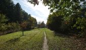 Excursión Senderismo Mesland - Monteaux - Onzain - via GR - 21km 175m 4h30 (30mn) - 2018 11 03 - Photo 1