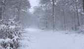 Trail Walking Laguiole - Bouyssou sous la neige  - Photo 9