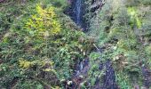 Excursión Senderismo Bad Peterstal-Griesbach - Bad Peterstal - cascade du Holchen - lac de Glaswald – échelle de la chaire du diable - cascade de Griesbach - Photo 8