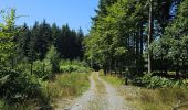 Trail Walking Saint-Hubert - A la découverte de Arville 🥾 - Photo 4