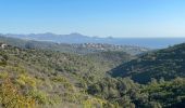 Tour Wandern Roquebrune-sur-Argens - Gaillarde-Baronne - Photo 7