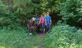 Tour Wandern Vassieux-en-Vercors - Vassieux en Vercors- La Chapelle en Vercors- Rando Âne (2 et 3 ème jour) -  - Photo 1