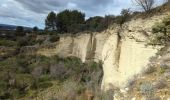 Trail Walking Caumont-sur-Durance - Les Hauteurs de Caumont - Photo 3