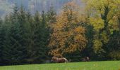 Tocht Stappen Waldkirch - Waldkirch - grande boucle des ruines du Schwanzenberg - Photo 13