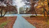 Randonnée Marche Saint-Jean-aux-Bois - en forêt de Compiègne_44_sur les Routes du Moulin et de Berne - Photo 1