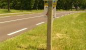 Trail On foot Hellendoorn - WNW Twente - Daarle - rode route - Photo 4