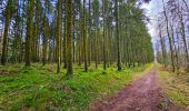 Tour Wandern Vielsalm - Balade à Salmchateau - Photo 13