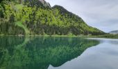 Tocht Stappen Abondance - Chalet d