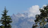 Tour Wandern Saint-Gervais-les-Bains - Chalet du Truc - Miage - Photo 15