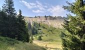 Tour Wandern Morzine - 74-Avoriaz-cretes-belvedere-10km-360 - Photo 7