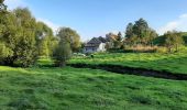 Tocht Noords wandelen Namen - wierde champêtre  - Photo 3