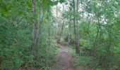 Trail Walking Montferrer - Montferrer . El Castel . Puig de Vilafort -  retour par la piste  - Photo 14