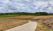 Randonnée Marche Doische - Balade à Matagne-la-Petite - Photo 2