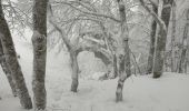 Randonnée Raquettes à neige Léoncel - echaillon 2021 - Photo 1