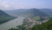 Percorso A piedi Gemeinde Weißenkirchen in der Wachau - Welterbesteig Wachau Etappe 3 - Photo 8