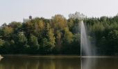 Excursión Senderismo Léglise - Bois d'Ospau et balade du Polissoir - Photo 9