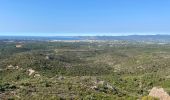 Trail Walking Fréjus - Le Vinaigre depuis le pont de la Bécasse  - Photo 2