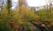 Tour Wandern Vieux-Moulin - en forêt de Compiègne_26_la Grotte des Ramoneurs_Tournantes de la Queue de Saint-Etienne et sur la Côte de Roilaye - Photo 2