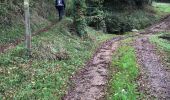 Trail Walking Bellevigne-en-Layon - Machelles  - Photo 3