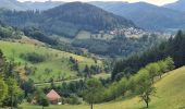 Percorso Marcia Ottenhöfen im Schwarzwald - Karlsruher Grat  - Photo 16