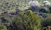 Tocht Stappen La Valette-du-Var - SityTrail - Boucle: Ripelle - Source Ripelle - Tourris - Grottes de sables - Carrière aux fourmis - Ruines des olivières - Touravelle - Ripelle - Photo 15