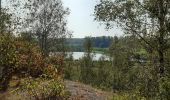 Tocht Stappen Vred - Les tourbières de Vred et les marais de la Scarpe - Photo 3