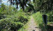 Tocht Stappen Luik - Liège sainte Walburge Buren sentier coteau terril 17,2 km - Photo 8