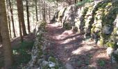Trail Walking Saint-Maurice-en-Chalencon - 07 gliuras n1 - Photo 9