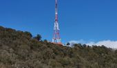 Trail Walking Yvoir - GODINNE ... par le pont de Rouillon. - Photo 2