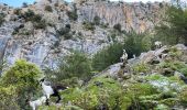 Randonnée Marche Posada de Valdeón - Cain gorges de Cares(petit À/R) - Photo 16