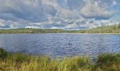 Tour Zu Fuß Saarijärvi - Tulijärven polku - Photo 7