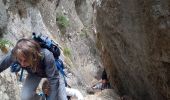 Trail Walking Cheval-Blanc - Gorges du Regalon version longue ( hautes pleines ) - Photo 11