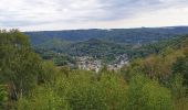 Excursión Senderismo Vresse-sur-Semois - Promenade de la Croix - Bohan - Photo 5