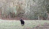 Trail Walking Saint-Pierre-de-Cormeilles - St Pierre de Cormeille - Photo 2