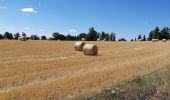 Tour Wandern Peyre en Aubrac - BOUCLE AU DEPART DE FAU DE PEYRE - Photo 15