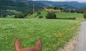 Trail Horseback riding Fraize - Fraize-Orbey - Photo 1