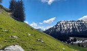 Tocht Stappen La Roche-sur-Foron - GLIERES / BORNES: LE CHENET - SUR COU - COL DU FREU - ROCHE PARNAL - COL DU CABLE - BALME - Photo 4