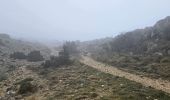 Trail Walking Plan-d'Aups-Sainte-Baume - Sainte Baume dans le brouillard 01-03-2025 - Photo 5