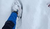 Trail Snowshoes Le Grand-Bornand - Le Balcon des Aravis - Photo 2