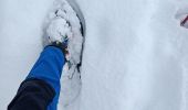 Excursión Raquetas de nieve Le Grand-Bornand - Le Balcon des Aravis - Photo 2